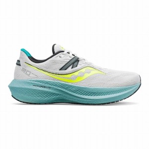 Saucony Triumph 20 Miesten Juoksukengät Valkoinen | Suomi S02163-H46