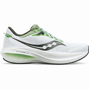 Saucony Triumph 21 Miesten Juoksukengät Valkoinen | Suomi S16839-V62