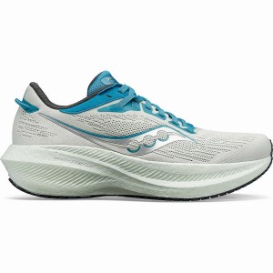 Saucony Triumph 21 Naisten Juoksukengät Valkoinen Sininen | Suomi S90362-X56