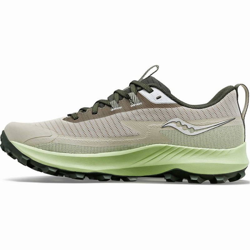 Saucony Peregrine 13 GTX Miesten Juoksukengät Dust / Umbra | Suomi S15782-B97