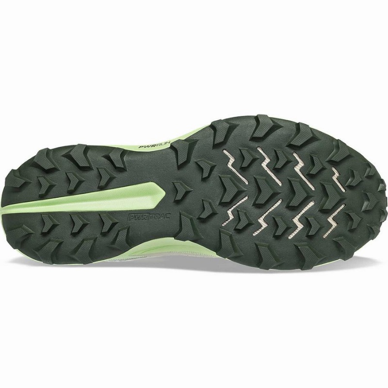 Saucony Peregrine 13 GTX Miesten Juoksukengät Dust / Umbra | Suomi S15782-B97