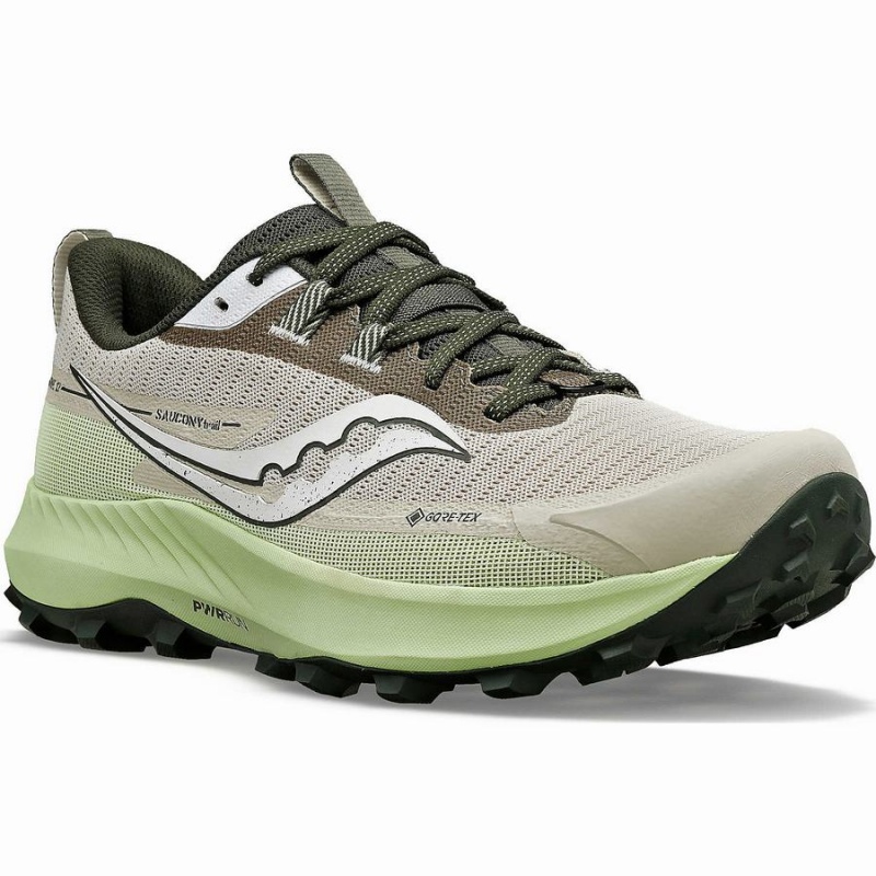 Saucony Peregrine 13 GTX Miesten Juoksukengät Dust / Umbra | Suomi S15782-B97