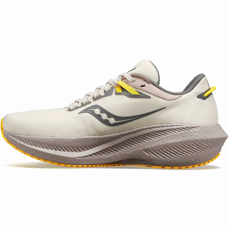 Saucony Triumph 21 RUNSHIELD Naisten Juoksukengät Beige | Suomi S09284-V85